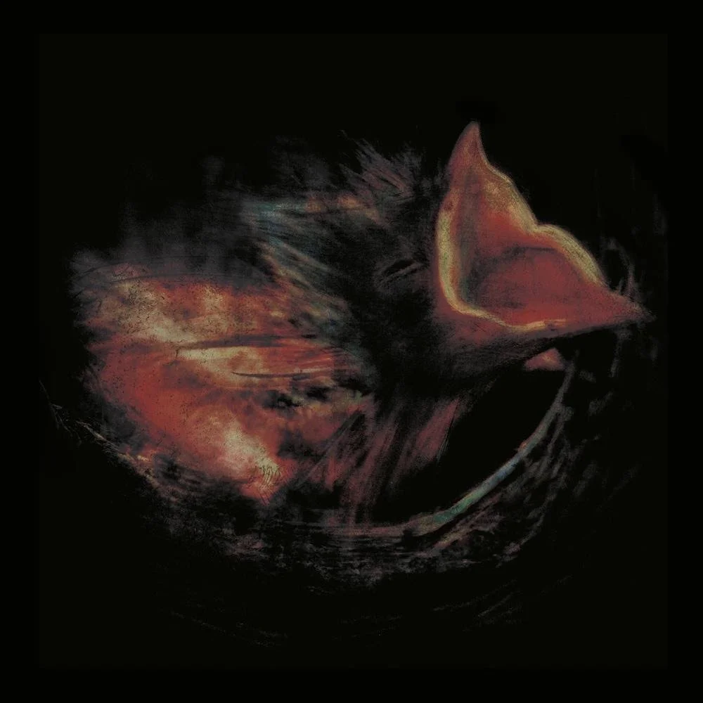 Album Review: Courteeners - 'Pink Cactus Cafe' — When The Horn Blows